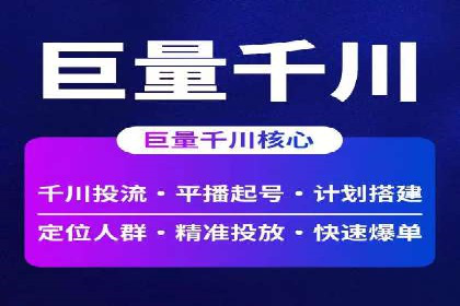 竞价托管服务案例解析